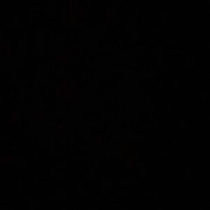 Meet your Posher, Reyes